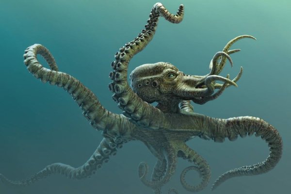 Актуальное зеркало kraken