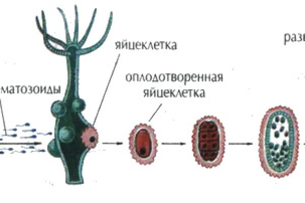 Не заходит на кракен