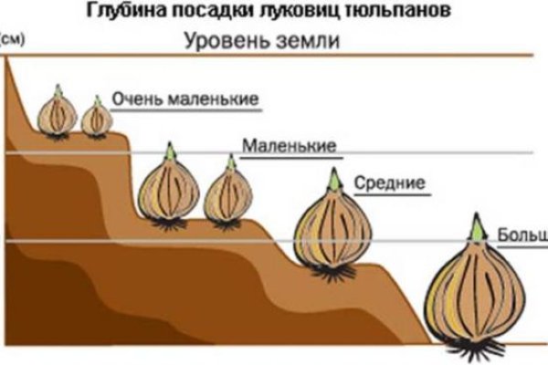 Сайт кракен россия